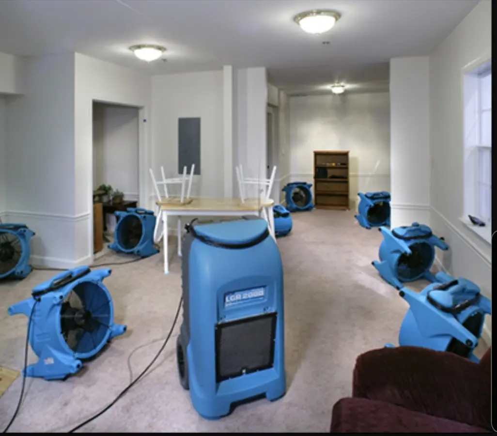 Air movers and dehumidifier setup for Water Extraction & Removal in Show Low